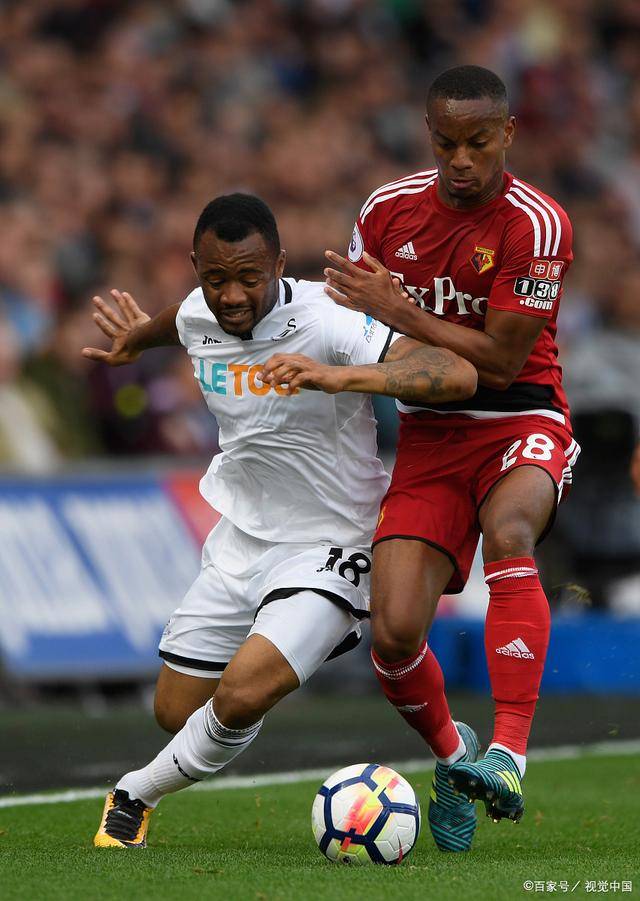 aoa体育体育地址-南安普顿备战卡迪夫城，主场迎战