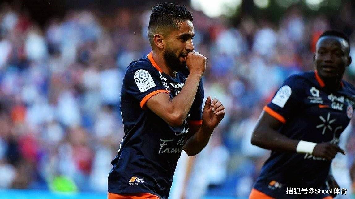 aoa体育体育亚洲官网-图卢兹主场取胜，实现反弹回升的简单介绍