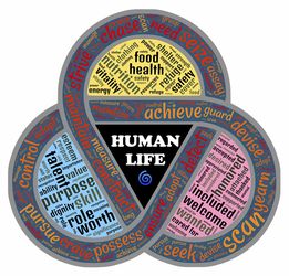 布宜诺斯艾利斯独立新援适应良好，世俱杯表现备受期待