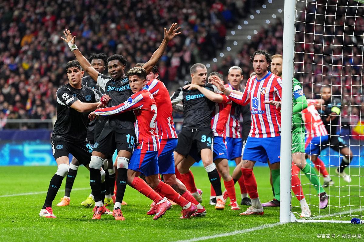 包含狼队进攻组合精密备战，期待新一轮胜利的词条